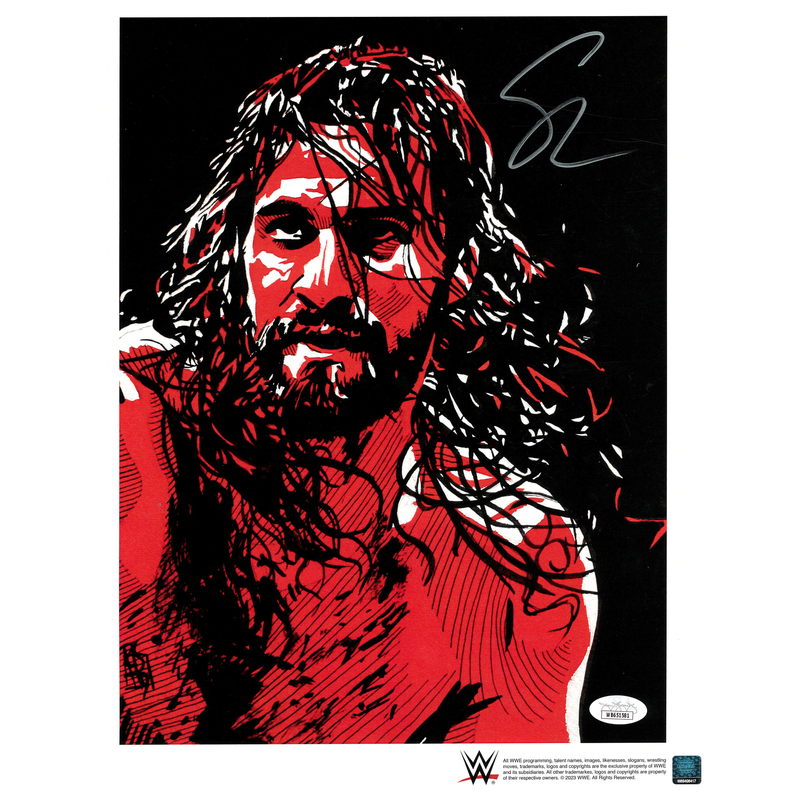 Seth Rollins Black, White & Color Schamberger 11 x 14 Poster - JSA AUTOGRAPHED