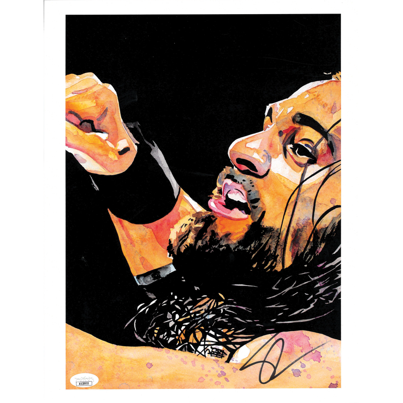 Seth Rollins Fist Schamberger 11 x 14 Poster - JSA AUTOGRAPHED