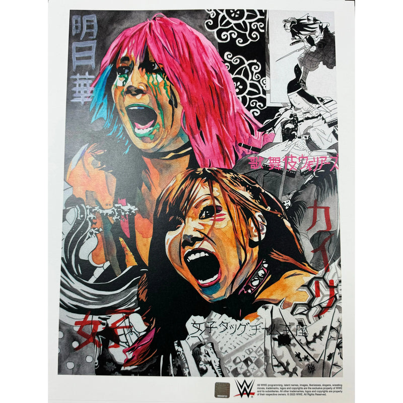 The Kabuki Warriors 11x14 Poster