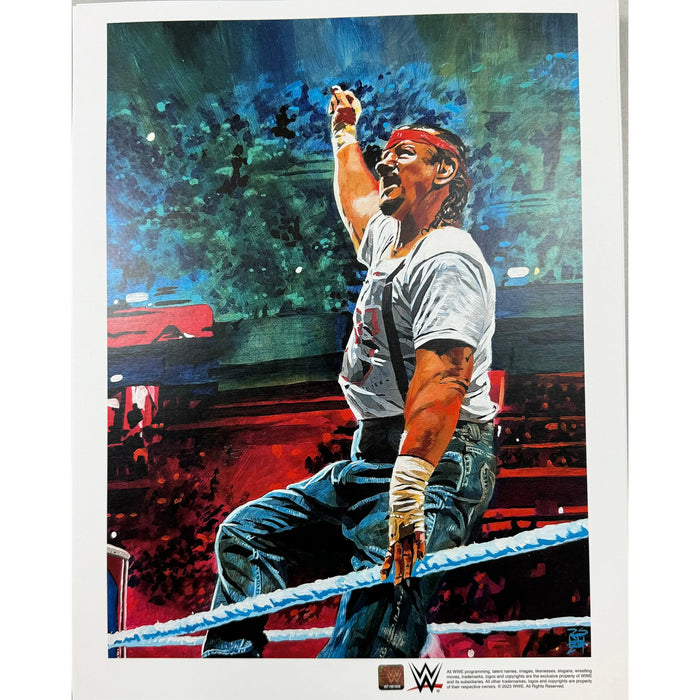 Terry Funk 11x14 Poster
