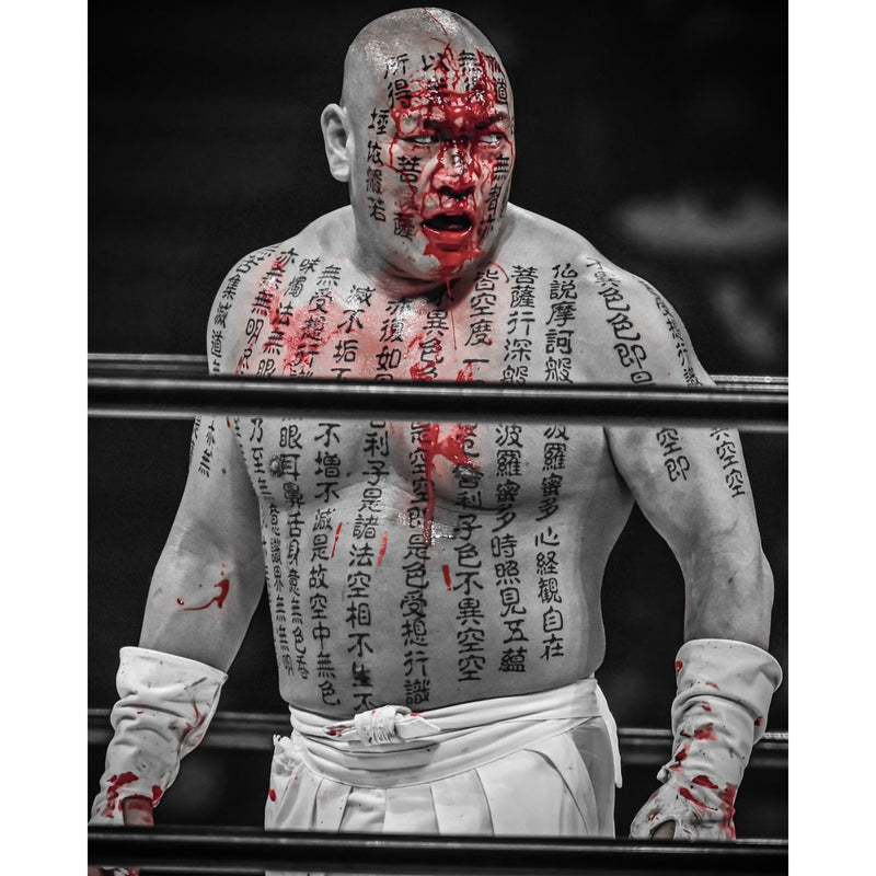*PREORDER* - Hakushi H5 8x10 or 11x14 Poster (JSA)