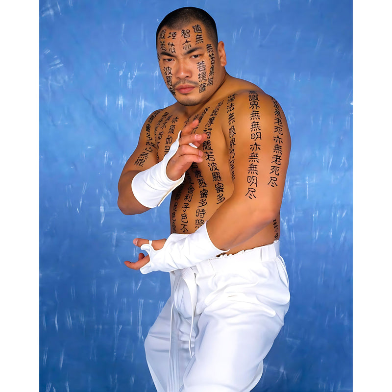*PREORDER* - Hakushi H3 8x10 or 11x14 Poster (JSA)