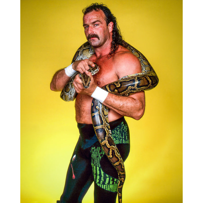 *PREORDER* - Jake "The Snake" Roberts JR4 8x10 or 11x14 Poster - Signed (JSA)