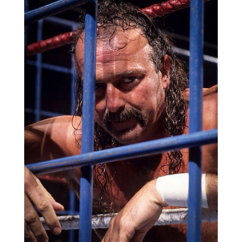 *PREORDER* - Jake "The Snake" Roberts JR7 8x10 or 11x14 Poster - Signed (JSA)