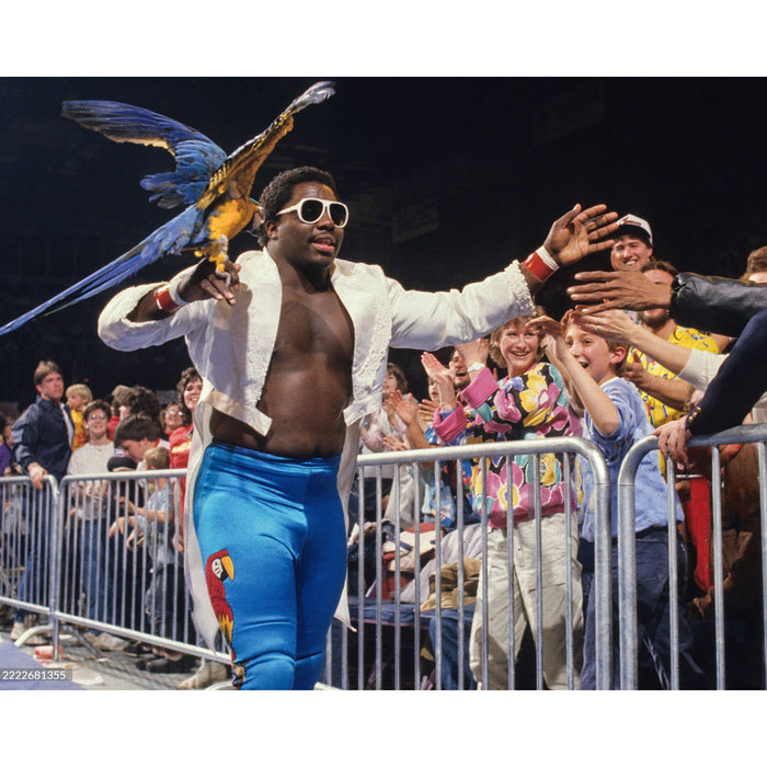 *PREORDER* Signed - Koko B. Ware KBW1 8x10 or 11x14 Poster