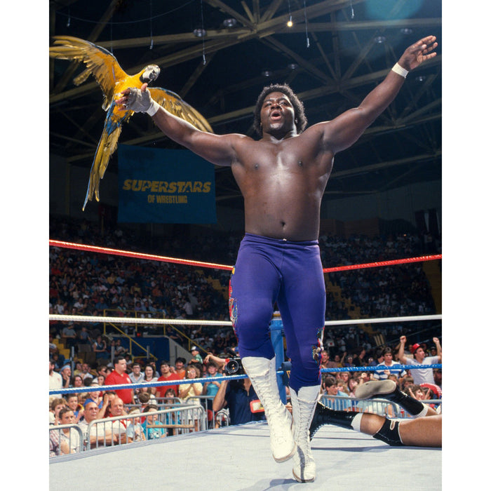 *PREORDER* Signed - Koko B. Ware KBW2 8x10 or 11x14 Poster