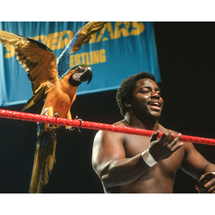 *PREORDER* Signed - Koko B. Ware KBW4 8x10 or 11x14 Poster