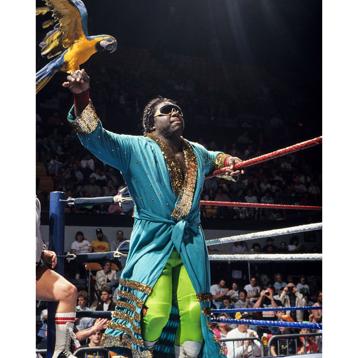 *PREORDER* Signed - Koko B. Ware KBW5 8x10 or 11x14 Poster
