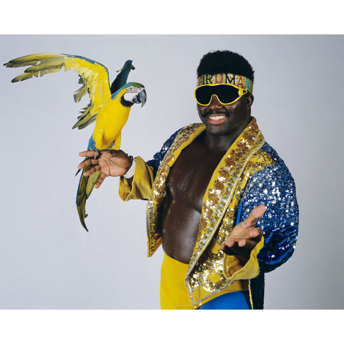 *PREORDER* Signed - Koko B. Ware KBW6 8x10 or 11x14 Poster