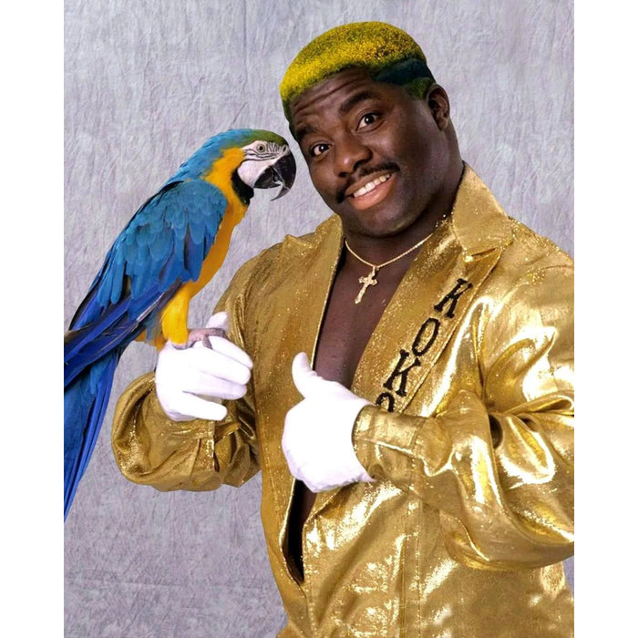 *PREORDER* Signed - Koko B. Ware KBW7 8x10 or 11x14 Poster