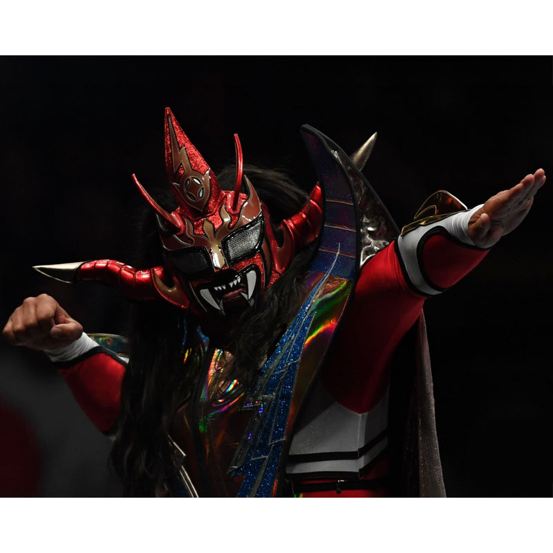 *PREORDER* - Jushin Liger JL2 8x10 or 11x14 Poster (JSA)