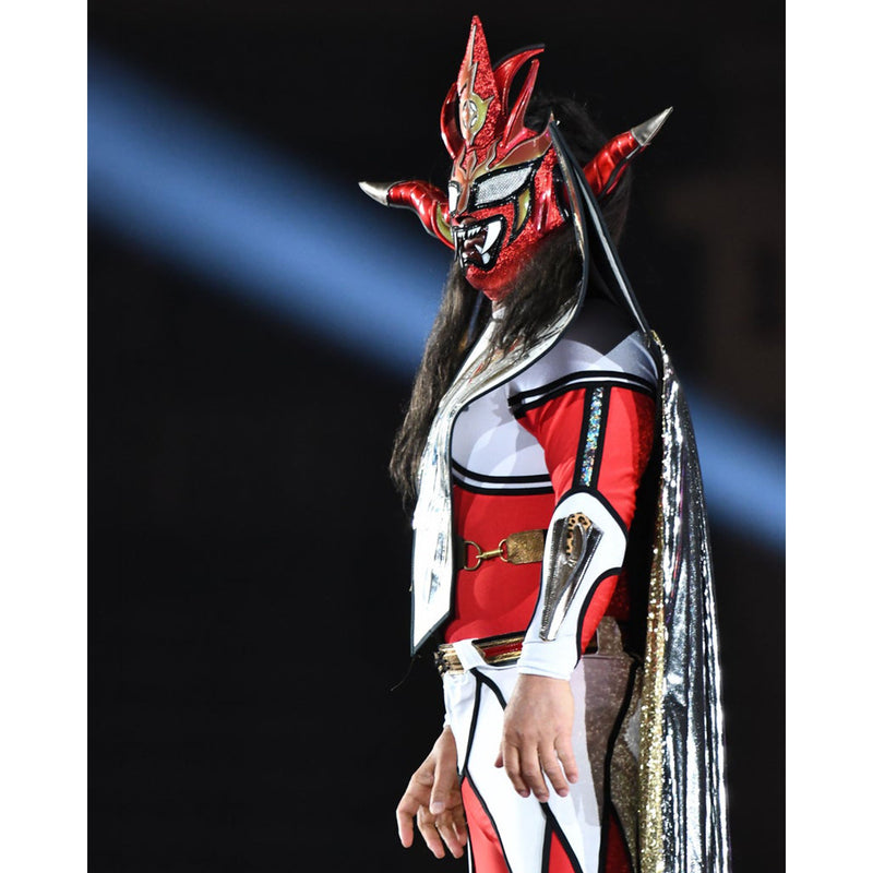 *PREORDER* - Jushin Liger JL4 8x10 or 11x14 Poster (JSA)