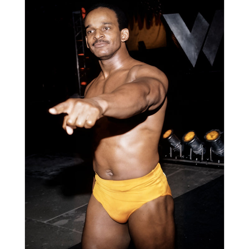 *PREORDER* - Norman Smiley NS2 8x10 or 11x14 Poster (JSA)