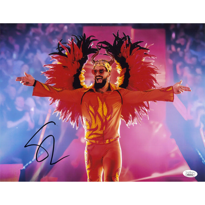 Seth Rollins Wings 11x14 Poster AUTOGRAPHED -(JSA)