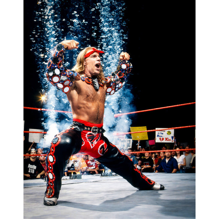 *PREORDER* Signed - Shawn Michaels SM2 8x10 or 11x14 Poster (Beckett)
