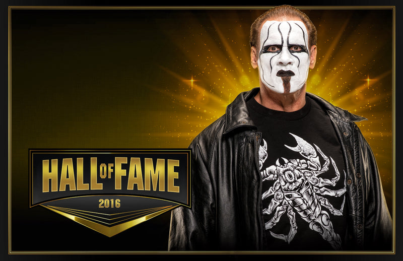 *PREORDER* - Sting HOF1 11x17 Poster (JSA) - Signed