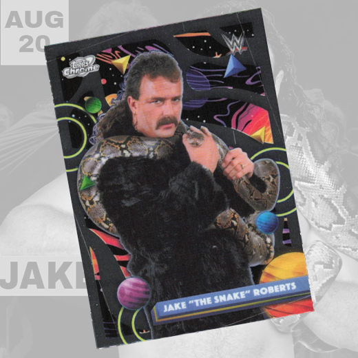 *PREORDER* - Jake "The Snake" Roberts Galaxy Trading Card w/ Case