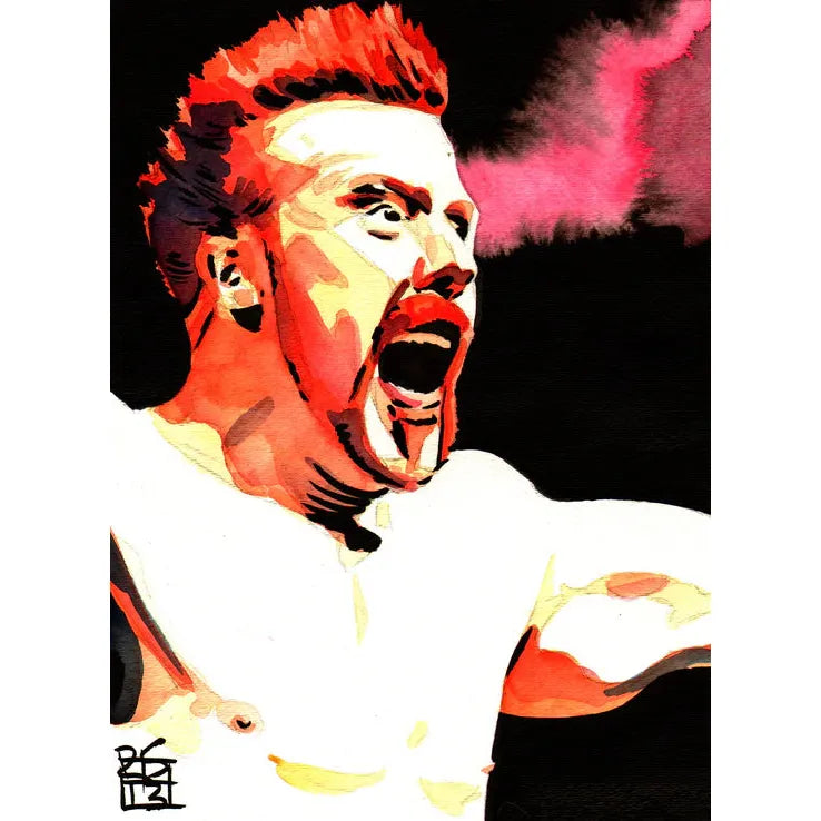Sheamus 11x14 Poster