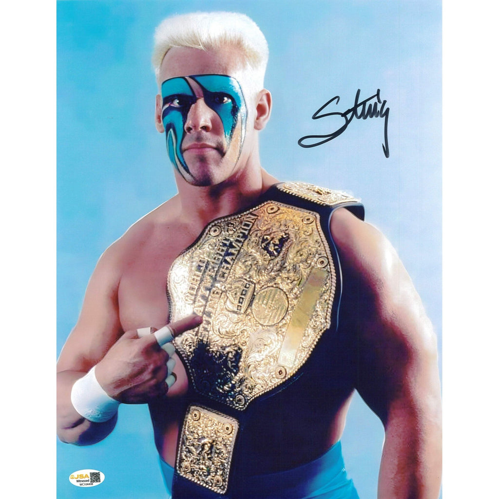 Sting Surfer Big Gold 11x14 - JSA Autographed — Highspots.com