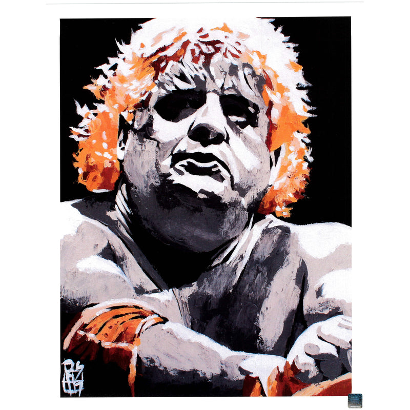 Dusty Rhodes: The Champions Collection 11x14 Poster