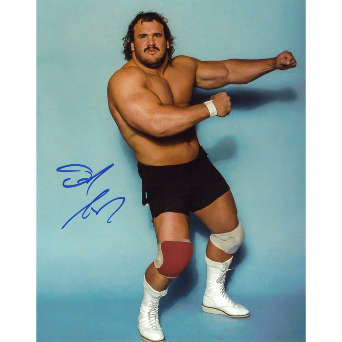 Ted Arcidi 8x10 & 11x14 - autographed