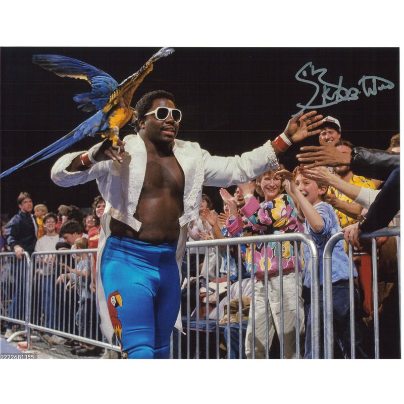 Koko B. Ware Walking Down 8x10 Promo or 11x14 Poster - AUTOGRAPHED