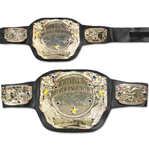 Toy Spinning Championship Belt
