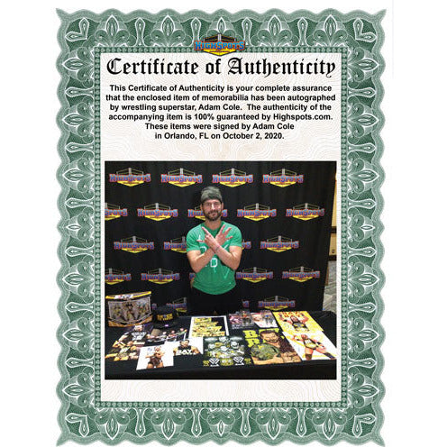 Adam Cole 11x14 Art Print - AUTOGRAPHED