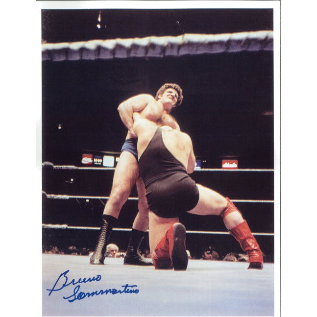 Bruno Sammartino 8.5 x 11 Promo - Autographed