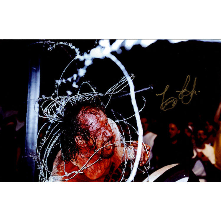Terry Funk 11x17 Print - JSA AUTOGRAPHED